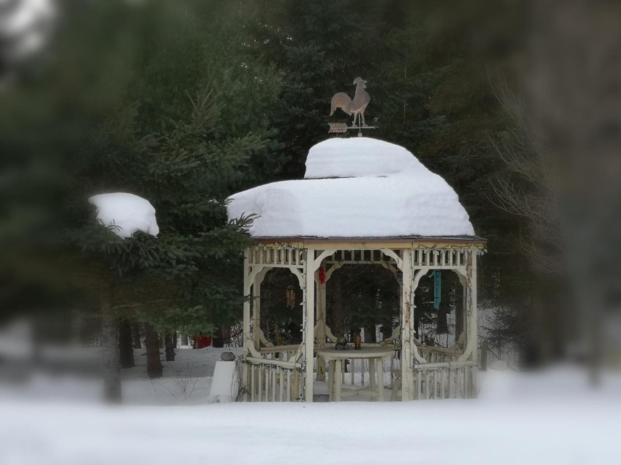 סן-ג'ורג' Motel Alexandrin מראה חיצוני תמונה